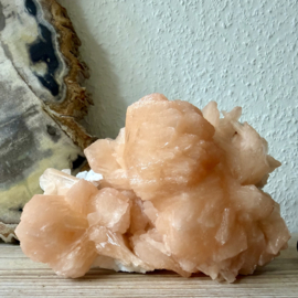 Ruwe Stilbiet op Chalcedoon