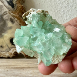 Apofyliet cluster