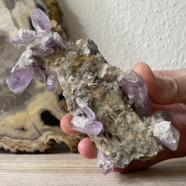 Veracruz Amethist cluster