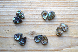 Abalone schelp platte druppels ca. 10 x 14 mm per 2