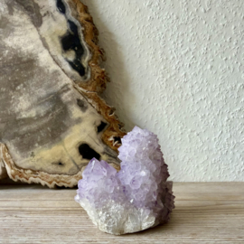 Cactus Amethist cluster