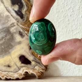 Malachiet cabochon D ca. 22 x 31 mm