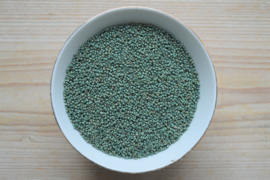 Miyuki 11-2031 Metallic Matte Luster Sage Green (per 10 gram)