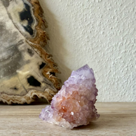 Cactus Amethist cluster