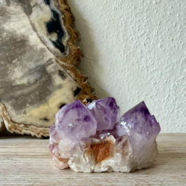 Cactus Amethist cluster