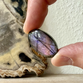 Paarse Labradoriet cabochon ca. 17 x 28 mm