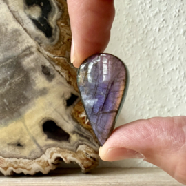 Paarse Labradoriet cabochon ca. 20 x 34 mm