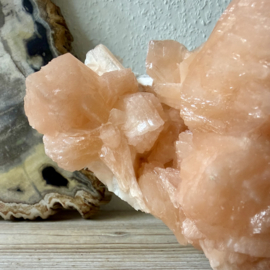 Ruwe Stilbiet op Chalcedoon