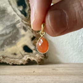 Verguld Sterling zilver hangertje met Carneool