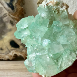 Apofyliet cluster
