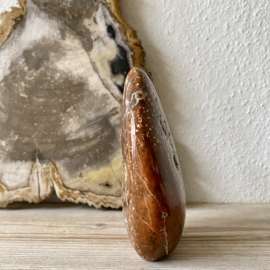 Oceaan Jaspis  gepolijste sculptuur
