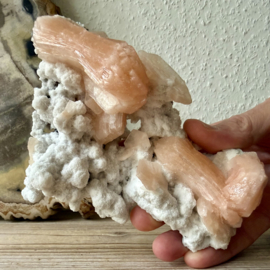 Ruwe Stilbiet op Chalcedoon