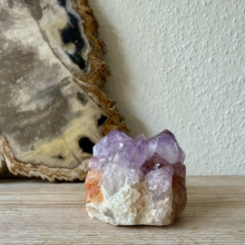 Cactus Amethist cluster