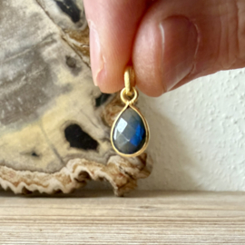Verguld Sterling zilver hangertje met Labradoriet