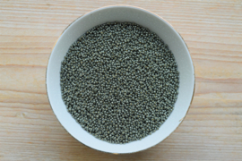 Miyuki 11-5112 Duracoat Galvanized Steel Green (per 10 gram)