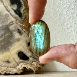 Labradoriet cabochon ca. 20 x 33 mm