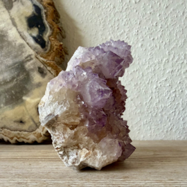 Cactus Amethist cluster
