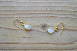 Verguld Sterling zilver Oorbellen met Maansteen