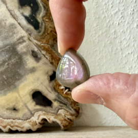 Paarse Labradoriet cabochon ca. 18 x 21 mm