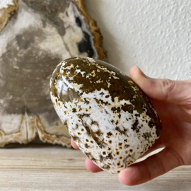 Oceaan Jaspis  gepolijste sculptuur