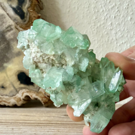 Apofyliet cluster