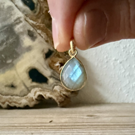 Verguld Sterling zilver hangertje met Labradoriet