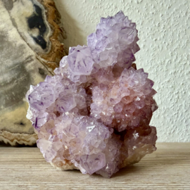 Cactus Amethist cluster