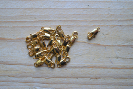 Goldfarbiger Verschlusse