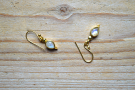 Verguld Sterling zilver Oorbellen met Maansteen