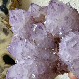 Cactus Amethist cluster