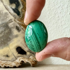 Malachiet cabochon C ca. 22 x 31 mm