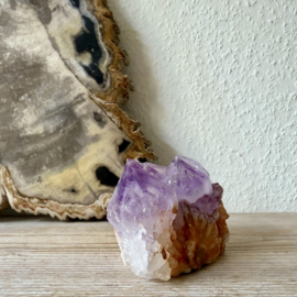 Cactus Amethist cluster
