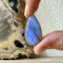 Labradoriet cabochon ca. 19 x 35 mm