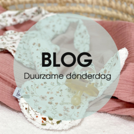 Blog | Duurzame donderdag