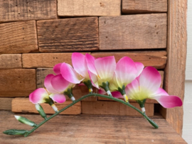 Kunstbloemen fresia roze/creme steel 14 cm, 6 bloem