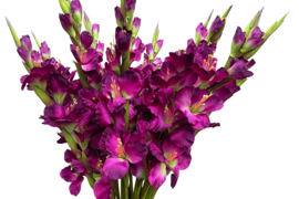 Kunstbloemen kunsttak gladiool paars hoogte 84 cm