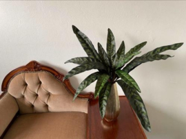 Kunstplant calathea hoogte 60 cm