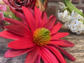 Kunstbloemen zonder steel, zonnehoed rood, diameter 12 cm
