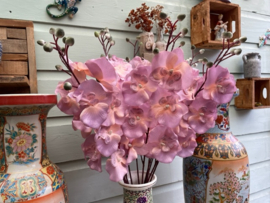 Kunstbloemen orchidee tak roze/creme hoogte 72 cm