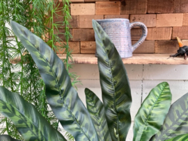 Kunstplant calathea hoogte 60 cm