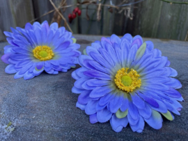 Kunstbloemen gerbera lila diameter 12 cm