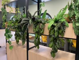 Kunstplanten jungle decoratie school/kantoor