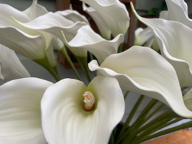 Kunstbloemen calla wit hoogte 57 cm
