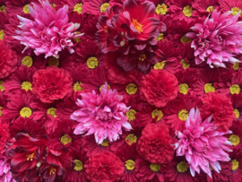 Flowerwall-bloemenmuur paneel 40x60 cm rood/roze