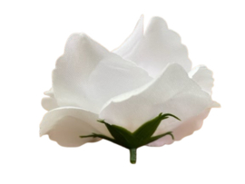 Kunstbloemen witte rozen, diameter 10 cm bruiloft/trouwerij bloemen