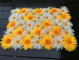 Flowerwall/bloemenpaneel 40x60 gerbera's