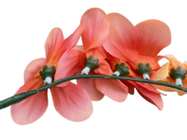 Kunstbloemen fresia koraal roze, steel 14 cm, 6 bloemen