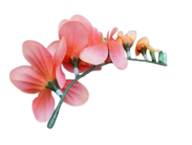 Kunstbloemen fresia koraal roze, steel 14 cm, 6 bloemen