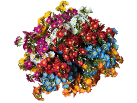 kunstbloem margriet blauw 54 cm