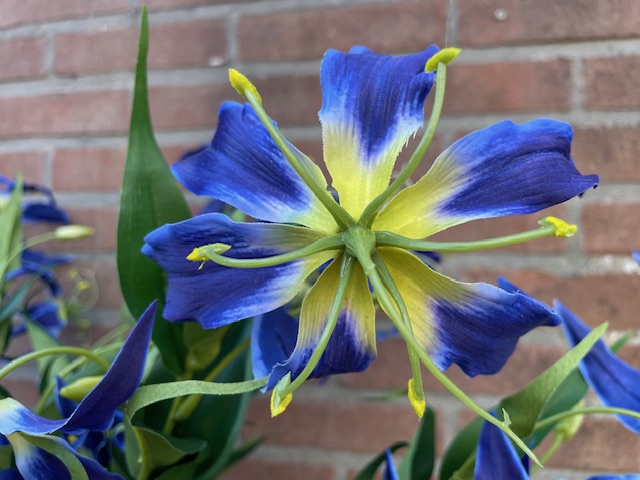 Kunstbloem/kunsttak gloriosa blauw hoogte 77 cm